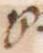 Ligature-Connected - #30908