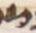 Letter - #30914