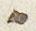 Letter - #30945