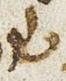 Letter - #30977
