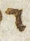 Letter - #31001