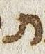 Letter - #31004