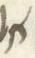 Letter - #31007