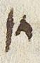 Letter - #31093