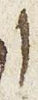 Letter - #31096