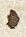 Letter - #31098