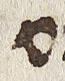 Letter - #31100