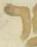 Letter - #31133