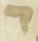 Letter - #31140