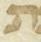 Letter - #31143