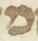 Letter - #31146