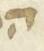 Letter - #31160