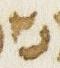 Letter - #31205