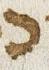 Letter - #31218