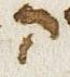 Letter - #31220