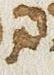 Letter - #31221