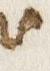 Letter - #31227