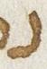 Letter - #31229