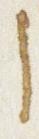 Letter - #31230