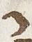 Letter - #31250