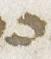 Letter - #31279