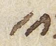 Abbreviation - #31307