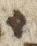 Letter - #31321