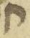 Letter - #31520