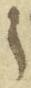 Letter - #31525