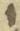 Letter - #31528