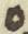 Letter - #31567