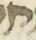 Letter - #31621