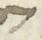Letter - #31631