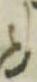 Letter - #31676