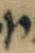 Letter - #31692