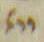 Divine Symbol - #31882