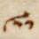 Divine Symbol - #31884