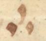 Divine Symbol - #31893