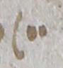 Divine Symbol - #31915