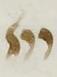 Divine Symbol - #31919