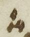 Divine Symbol - #31930