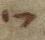 Letter - #31963