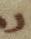 Letter - #31970