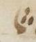 Divine Symbol - #32564