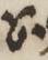 Divine Symbol - #32569