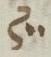Divine Symbol - #32572