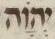 Divine Symbol - #32587