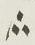 Divine Symbol - #32661