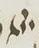 Divine Symbol - #32666