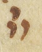 Divine Symbol - #32698